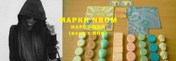 стаф Арсеньев