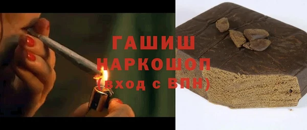 стаф Арсеньев