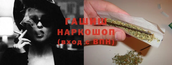 стаф Арсеньев