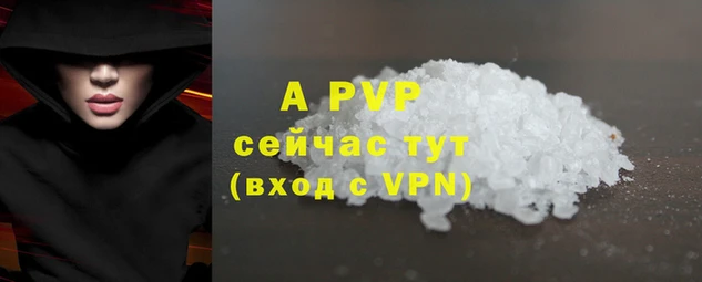 СК Аркадак